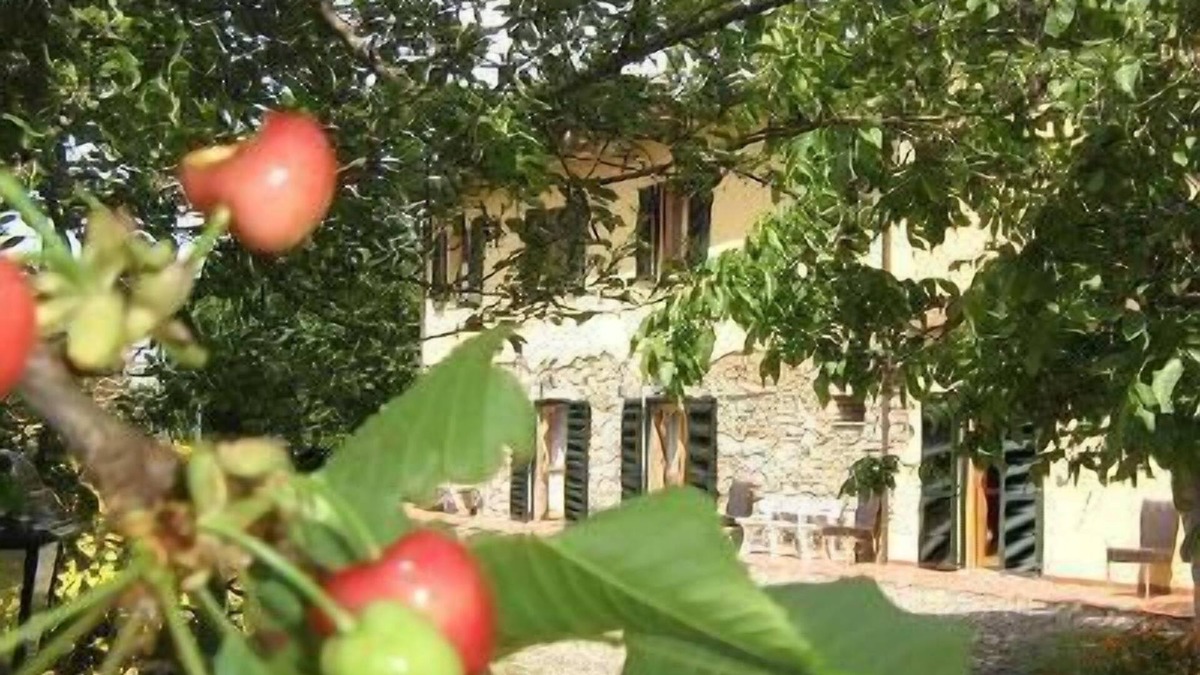 Pomaia Other | Holiday apartment Pomaia for 1 - 5 persons with 2 bedrooms - Farmhouse