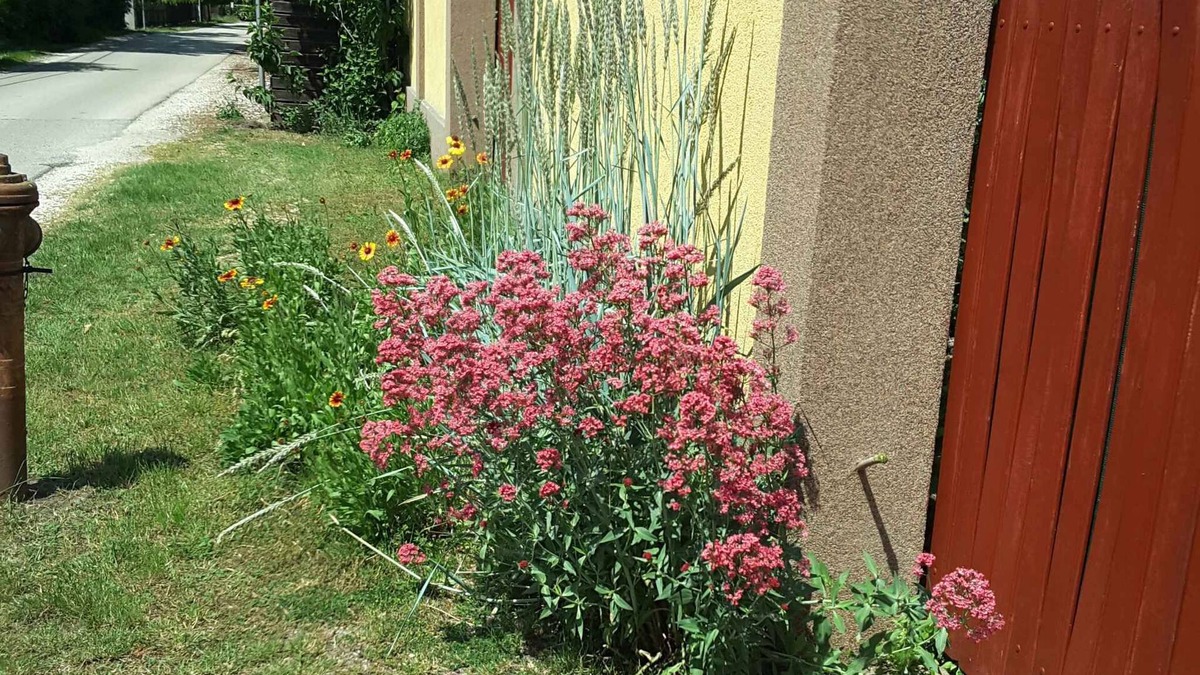 Siofok-Szabadifurdo Apartment | Holiday apartment with grill and garden pavilion