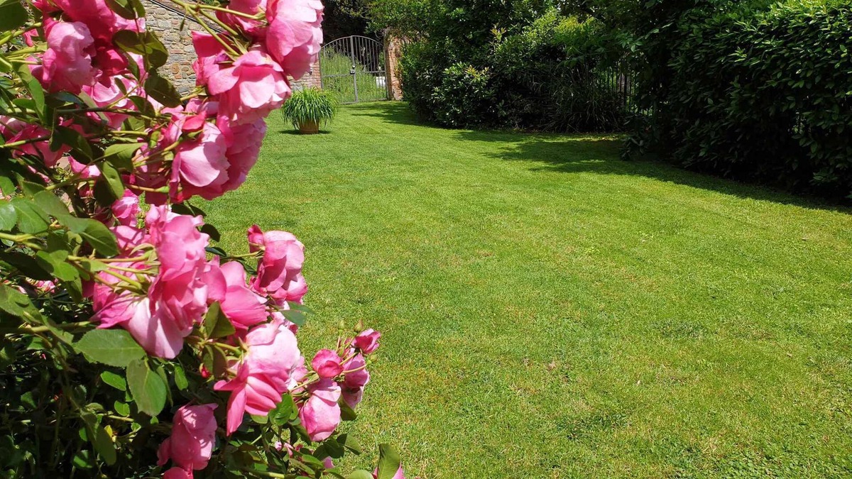 Laterina Apartment | Holiday apartment with pool
