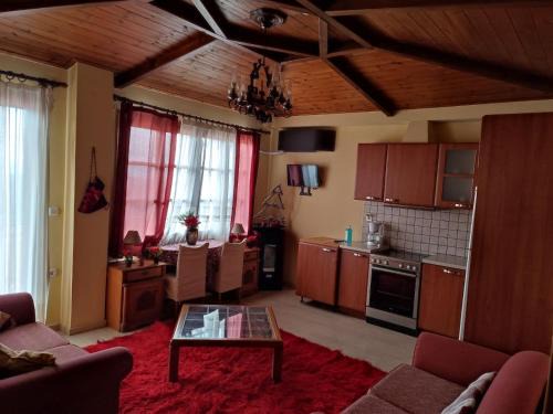 Arachova Apartment | Holiday Apartments in Arachova