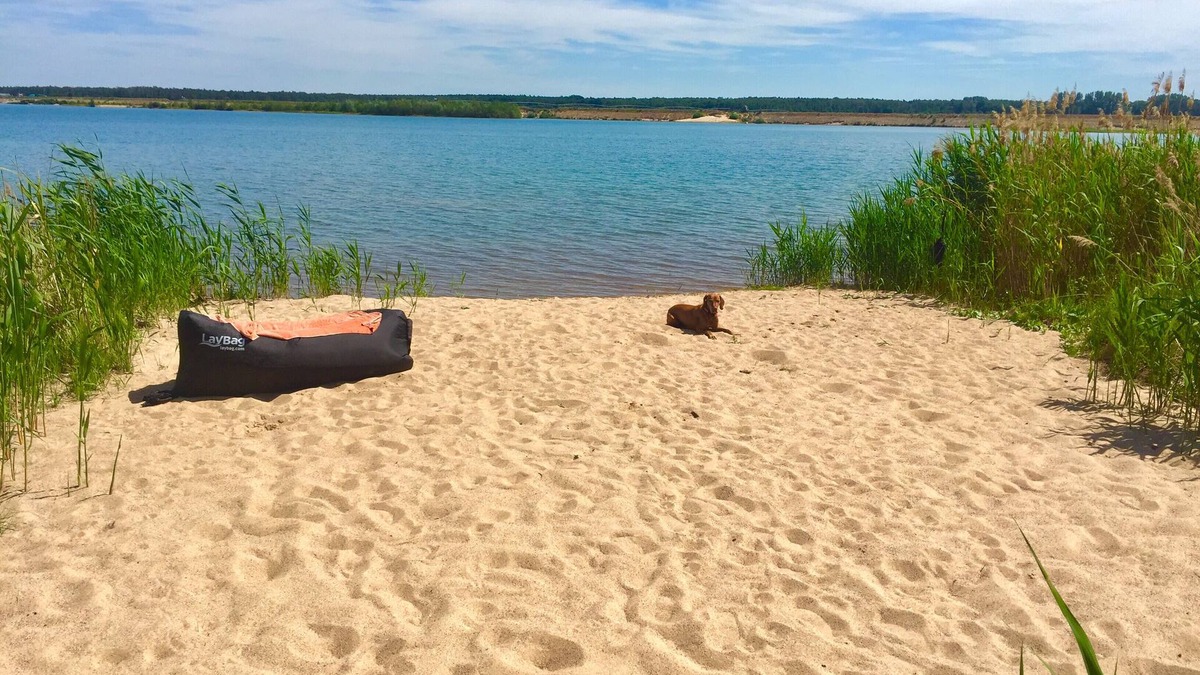 Lobnitz House | Holiday at the lake near Leipzig/Sauna- Cozy holiday home on the private beach