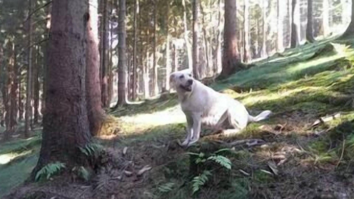 Elbersreuth House | Holiday cottage Mietz