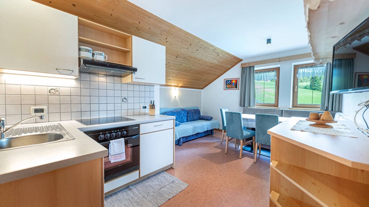 Giogo Piccolo Apartment | Holiday Farm Al Cir 400A