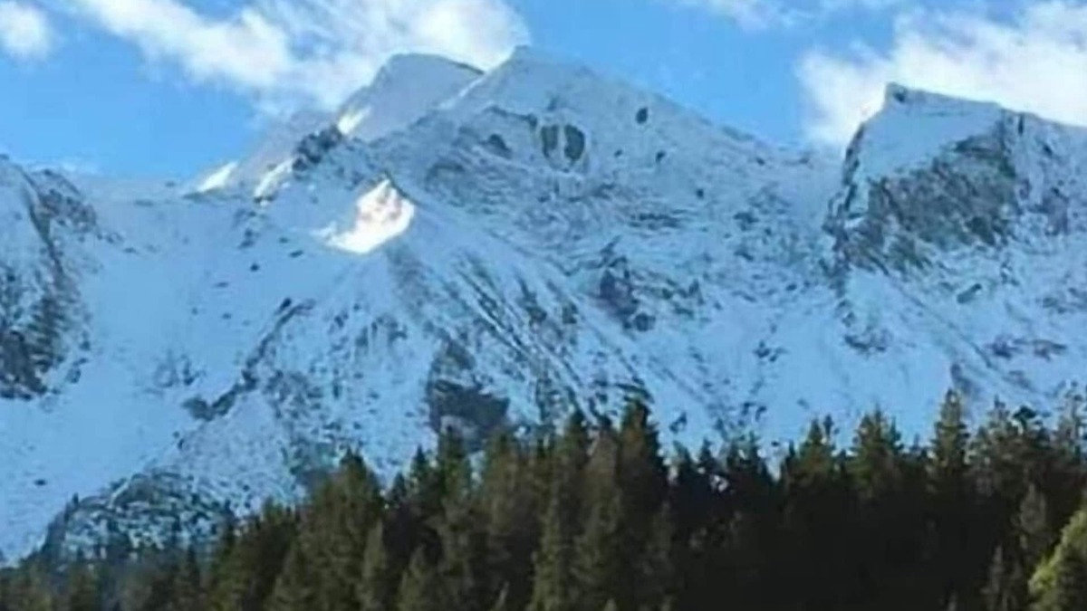 Soerenberg Apartment | Holiday flat Baldo