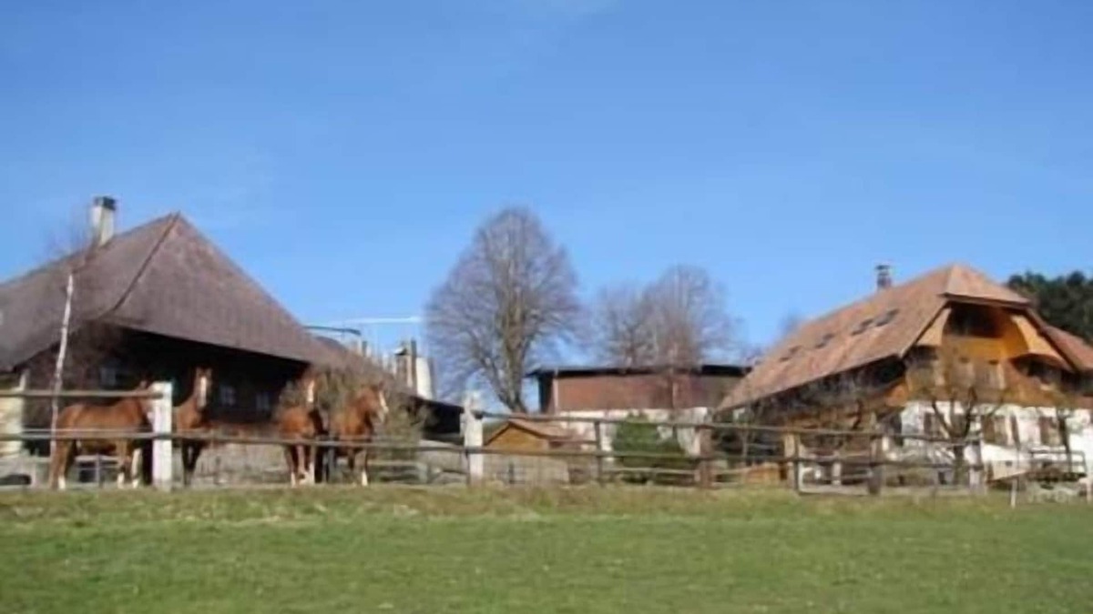 Durrenroth Apartment | Holiday flat Muessache