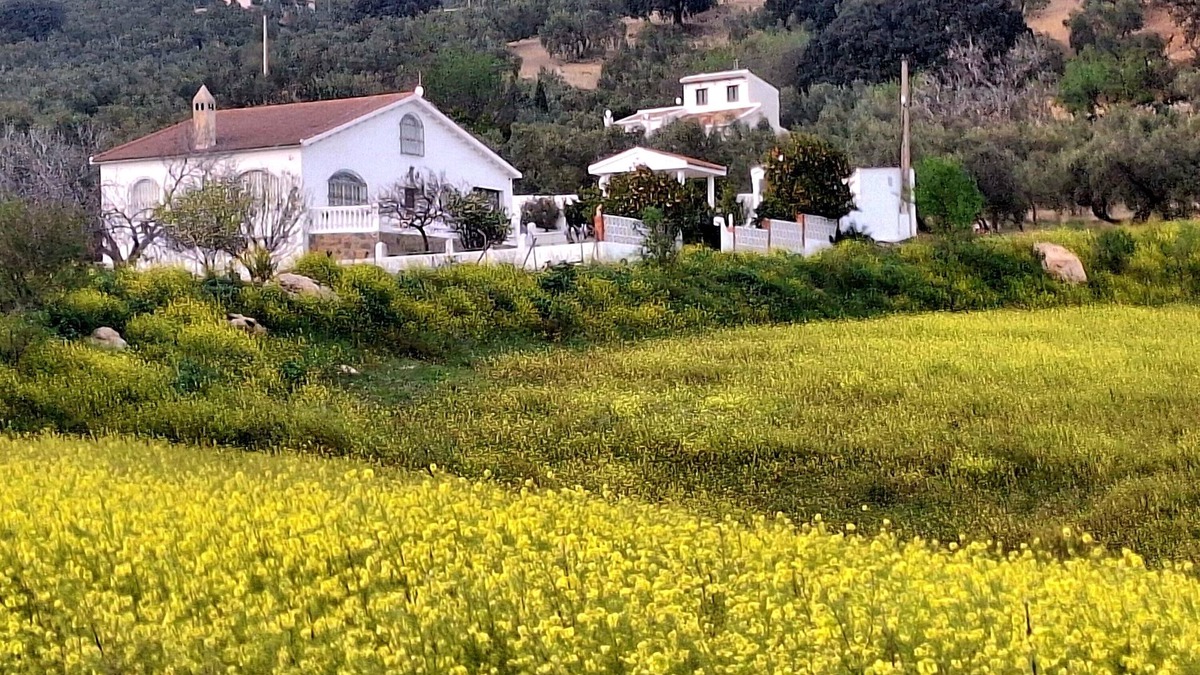 Villanueva del Trabuco House | Holiday Home 'Aires De Gibalto' with Mountain View, Private Pool and Wi-Fi