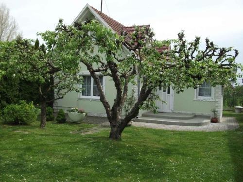 Balatonlelle House | Holiday home Balatonlelle - Balaton 19117