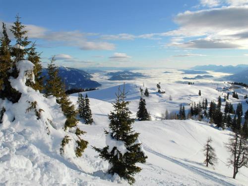 Eberndorf House | Holiday Home in Eberndorf near Petzen Ski Area
