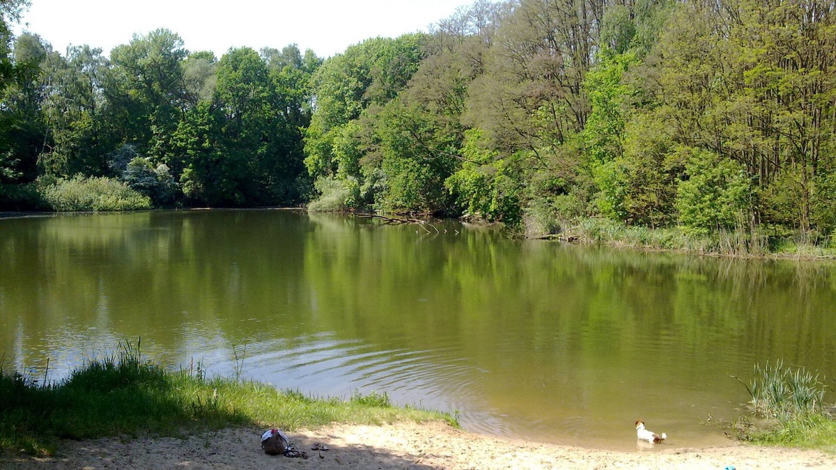 Werder House | Holiday home in the lake district - children welcome!