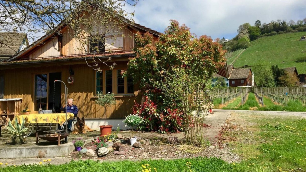 Meilen District House | Holiday home in the vineyard