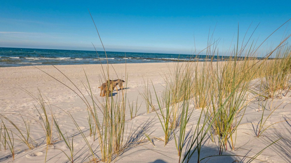 Pruchten House | Holiday Home 'Ostsee' with Private Terrace, Private Garden and Wi-Fi