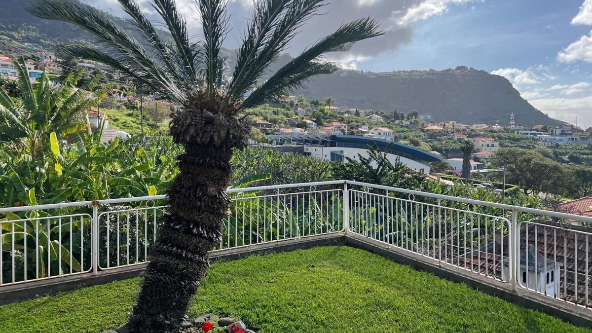 Arco da Calheta House | Holiday Home 'Spring House' with Sea View, Private Terrace and Wi-Fi