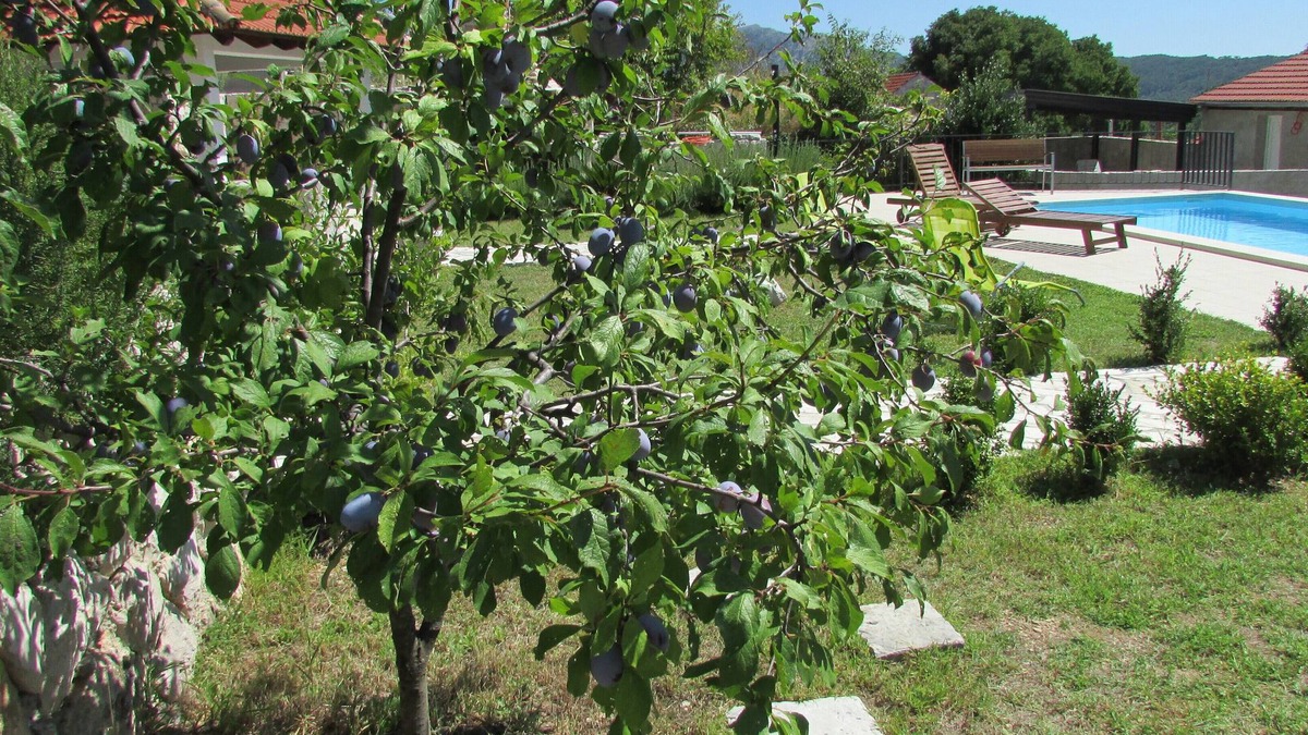Donja Banda House | Holiday Home Stari Zoganj