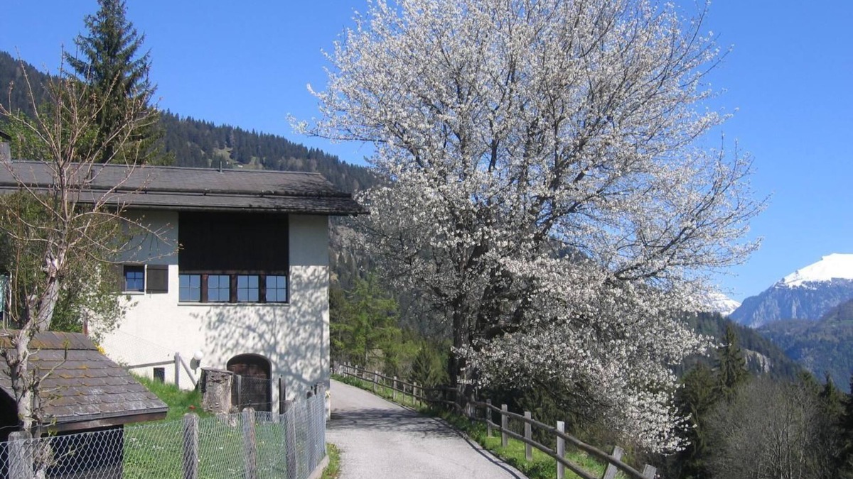 Praz House | Holiday home Staudenhof, close to nature and idyllic