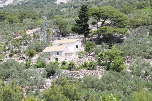 Zivogosce House | Holiday home Sweet Shelter with jacuzzi