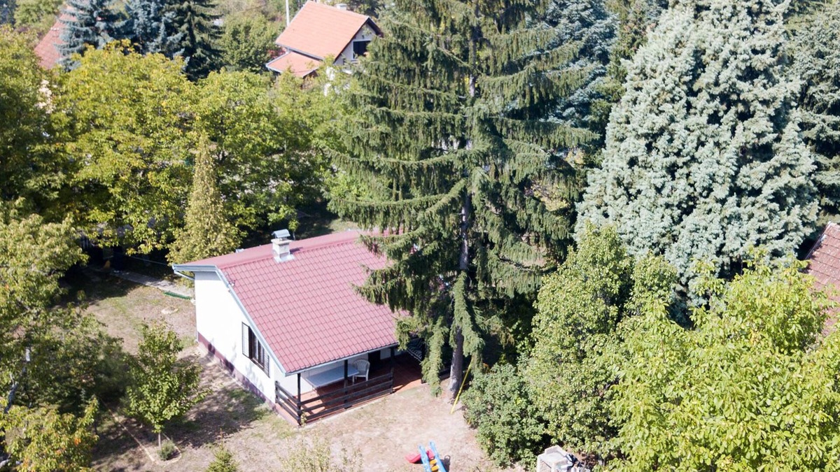 Novi Sad House | Holiday house Alfa - cosy house in Ledinci, Fruška gora