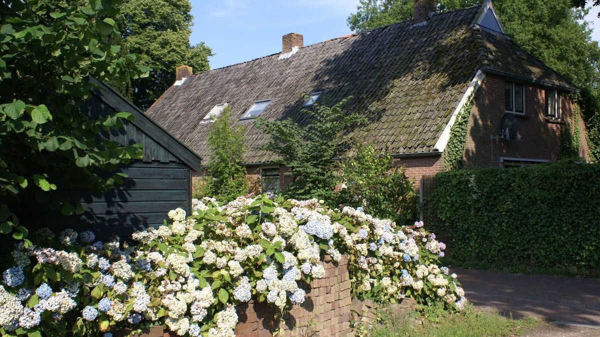 Diever House | Holiday house Diever for 2 - 12 persons with 5 bedrooms - Twin house