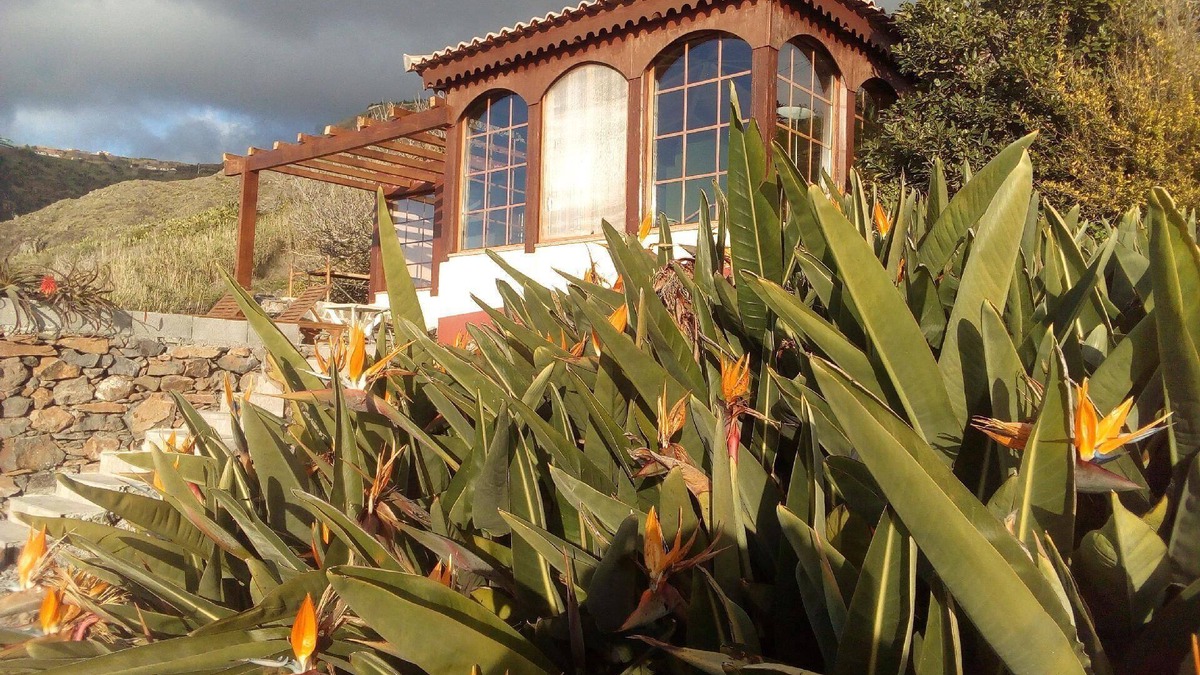 Paul do Mar Other | Holiday house Fajã da Ovelha for 1 - 2 persons with 1 bedroom - Farmhouse