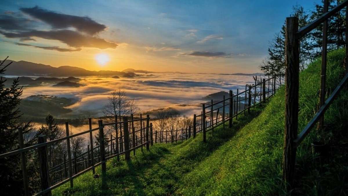 Zalec Apartment | Holiday house for up to 6 guests-Posest Kunigunda with a magical view