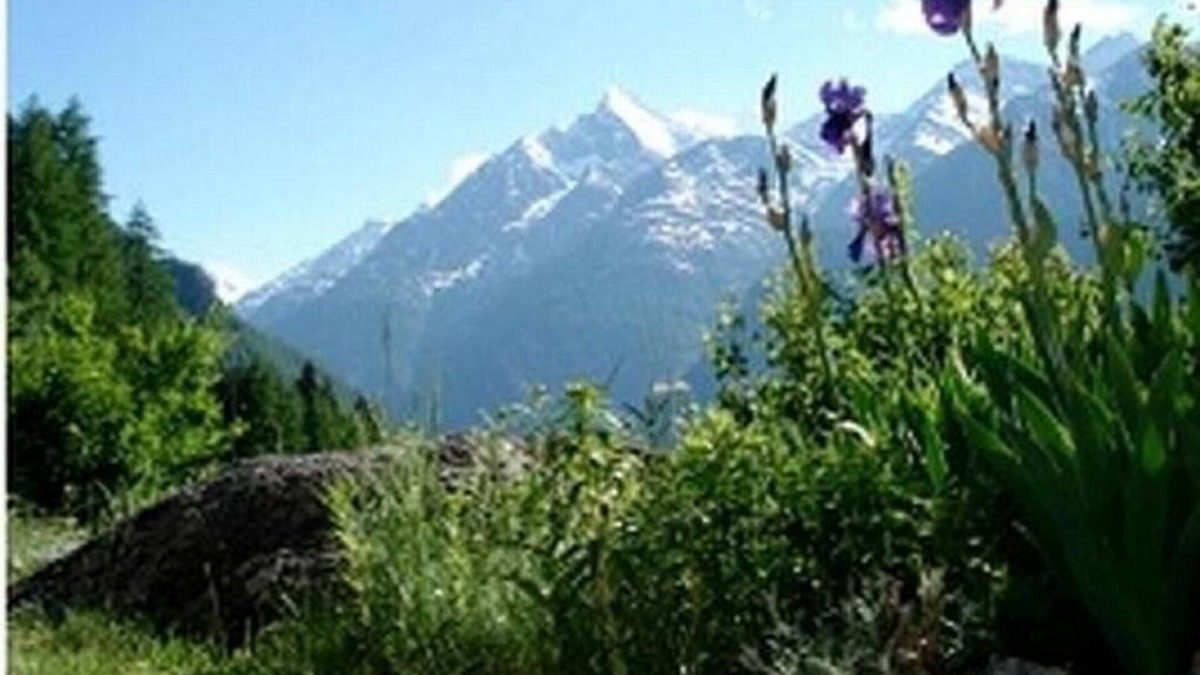 St. Niklaus House | Holiday house Grächen for 4 - 9 persons with 4 bedrooms - Holiday house