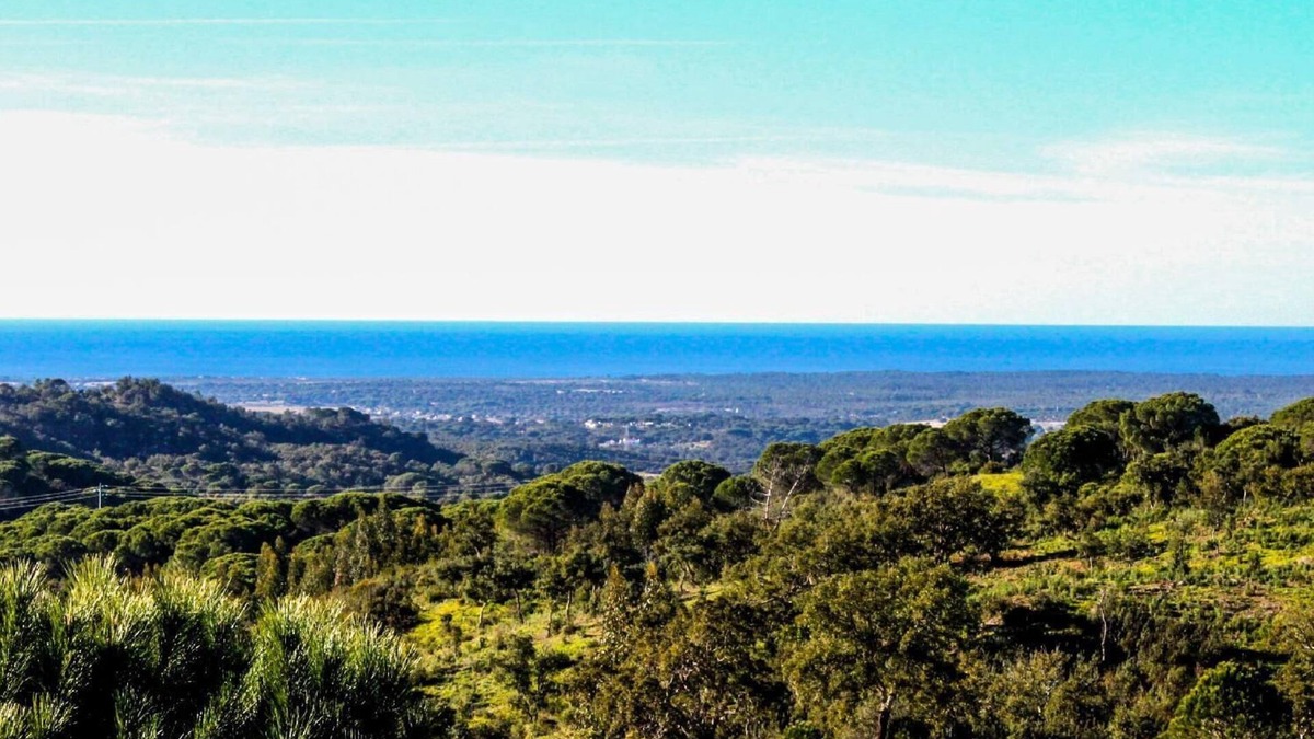 Grandola Other | Holiday house Melides for 1 - 14 persons with 5 bedrooms - Farmhouse
