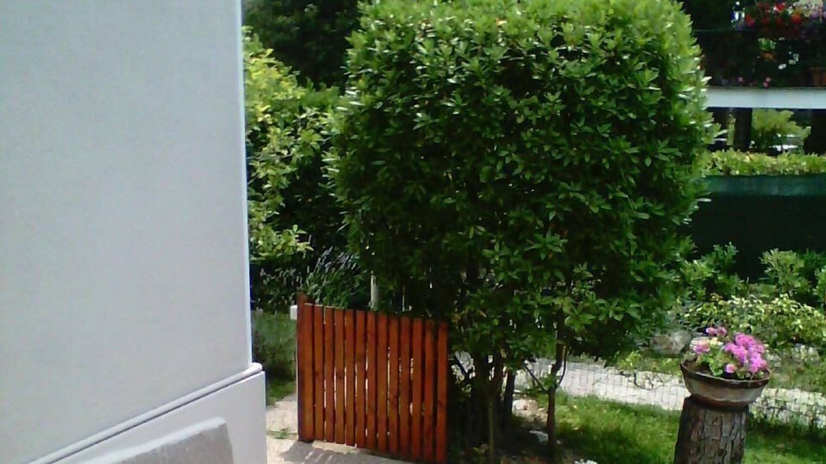 Tirrenia House | Holiday house Pisa for 1 - 6 persons with 2 bedrooms - Holiday home
