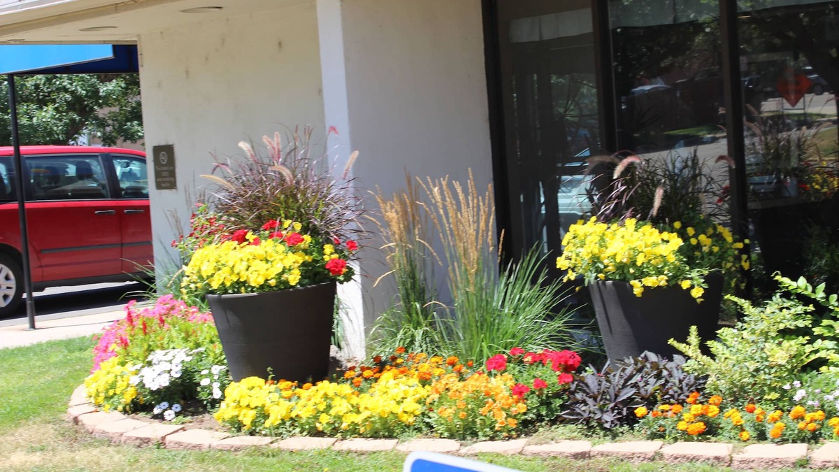 Denver Hotel | Holiday Inn Express Denver Central North by IHG
