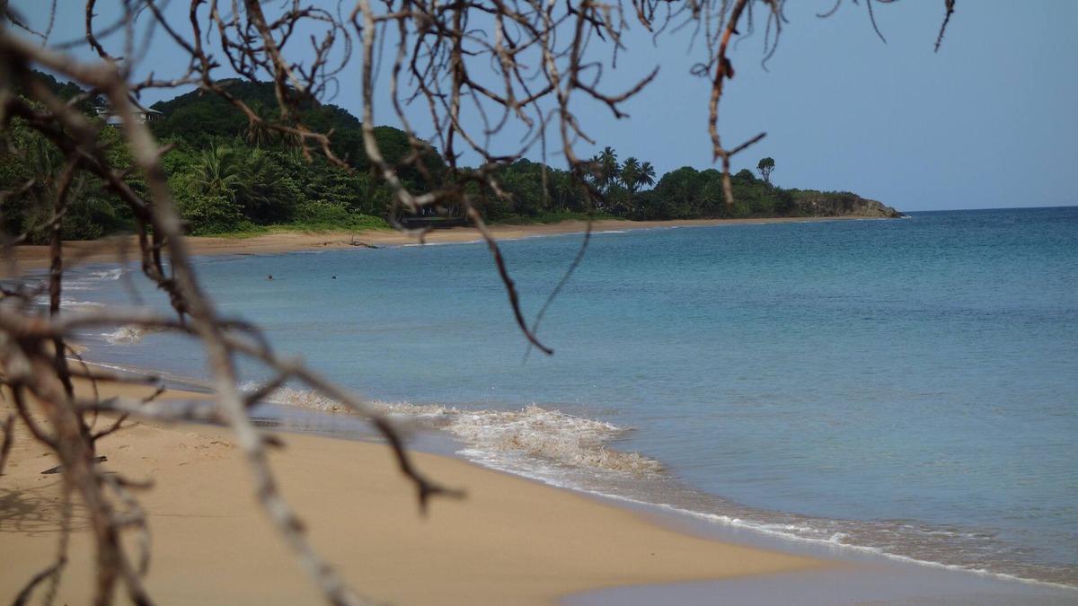 Rifflet Apartment | Holiday rental "AUTHENTICITY and CONVIVIALITY" in DESHAIES GUADELOUPE