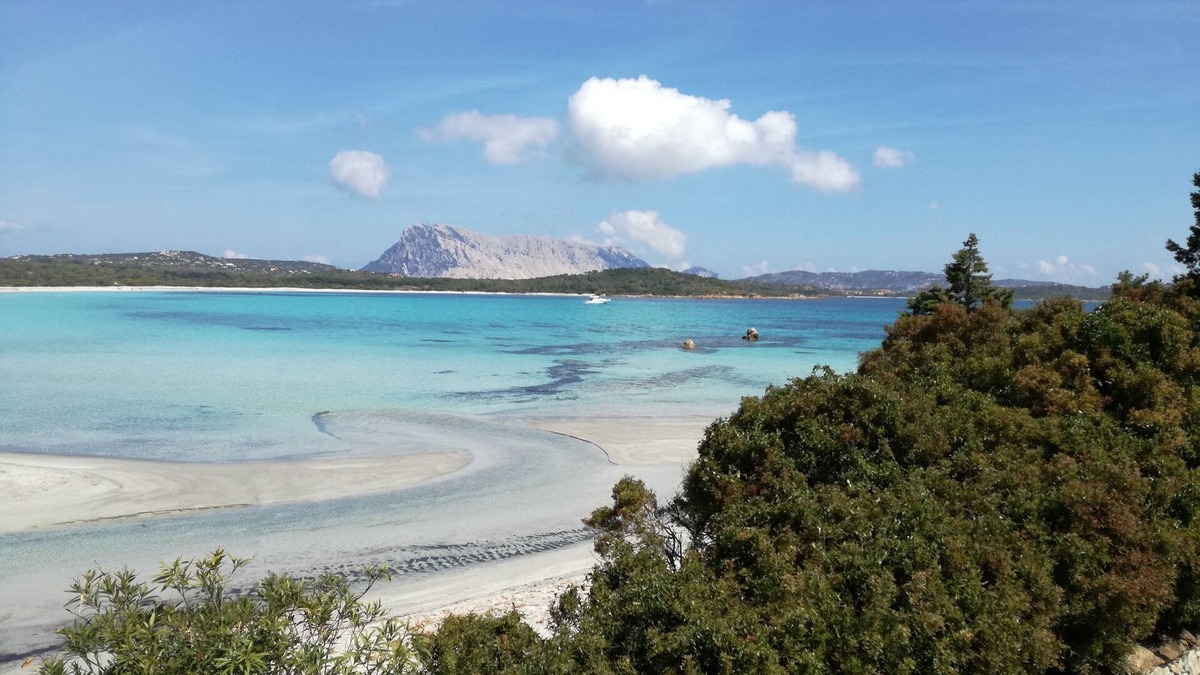 Schifoni Apartment | Holidays in San Teodoro