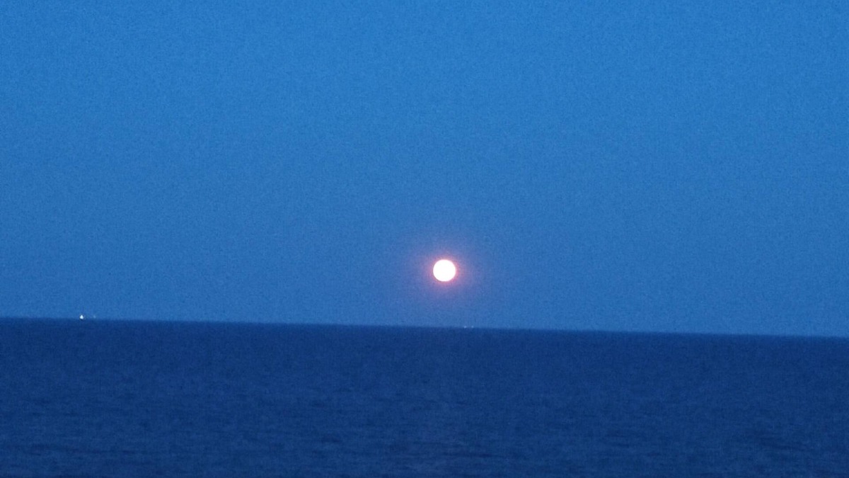 Primorski Villa | Holyday houses ON THE COAST Плаж,море, просторен двор,уют,релакс вкусна храна