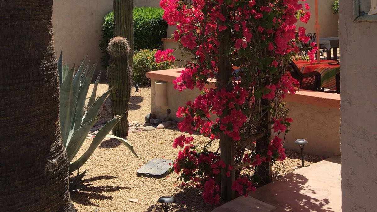 Rio Verde House | Home available for November and December