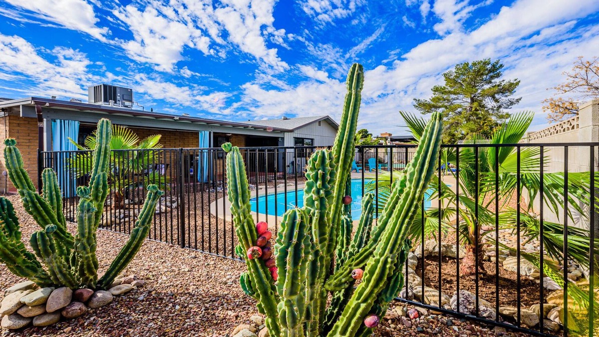 Groves Lincoln Park House | Home away from Home in Eastern Tucson Arizona, pool, spa, private yard