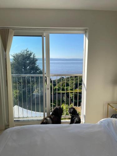 Portishead House | Home