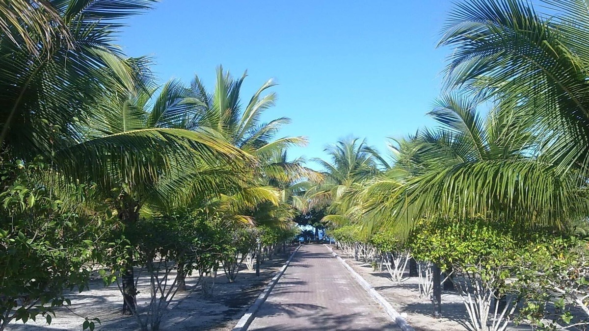 Puerto Seguro Center House | Home in gated community! 24 hour security, swimming pool, WiFi and leisure. Sleeps 18