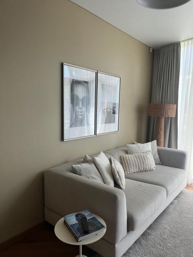 Druskininkai Apartment | Home in