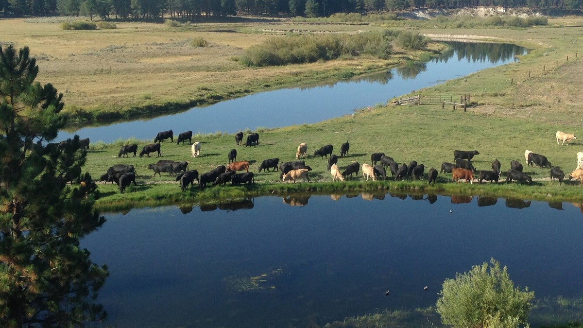 Chiloquin House | Home on the Sprague River in Chiloquin, Oregon-40 miles from Crater Lake