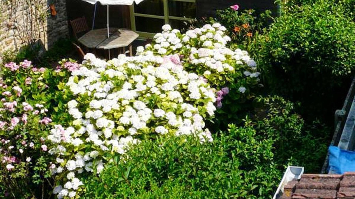 Villabe House | Homerez - Amazing house for 4 ppl. with terrace at Villabé