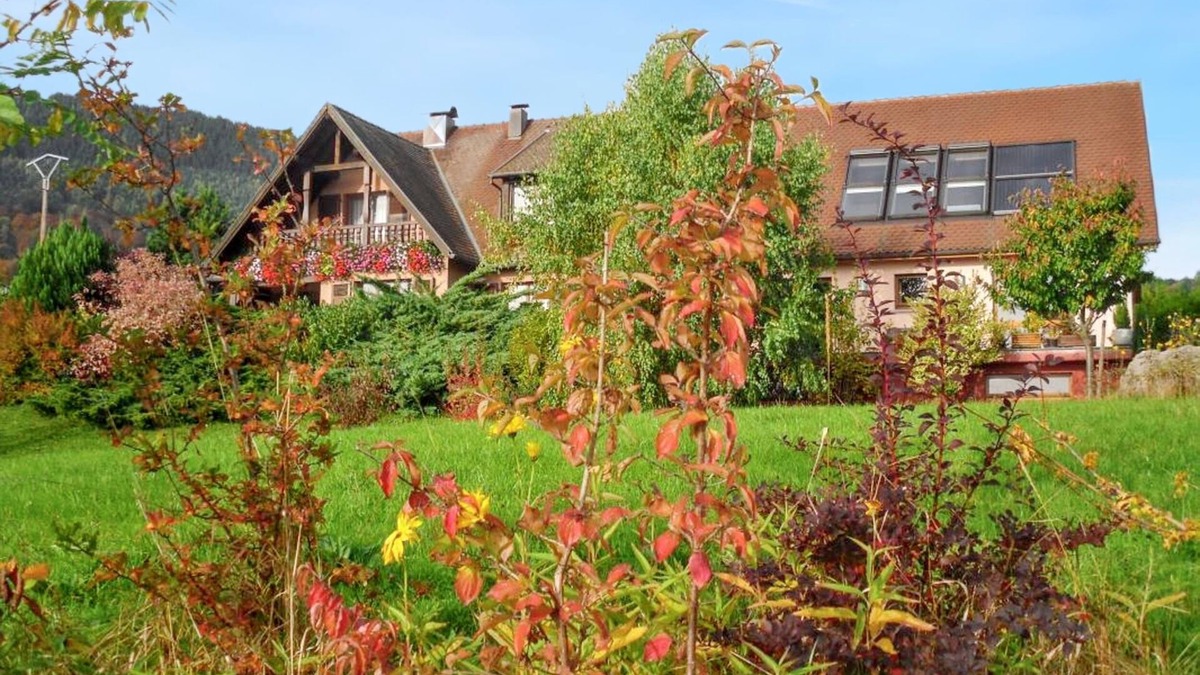 Thannenkirch Apartment | Homerez - Appt Thannenkirch, Mountain View