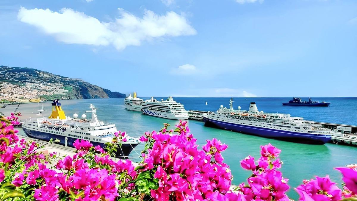 Sao Roque Apartment | Homerez - Apt Funchal Balcony View