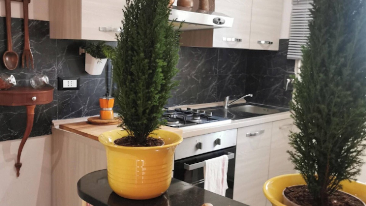 Pre Apartment | Homerez - Apt. Genoa with sea view