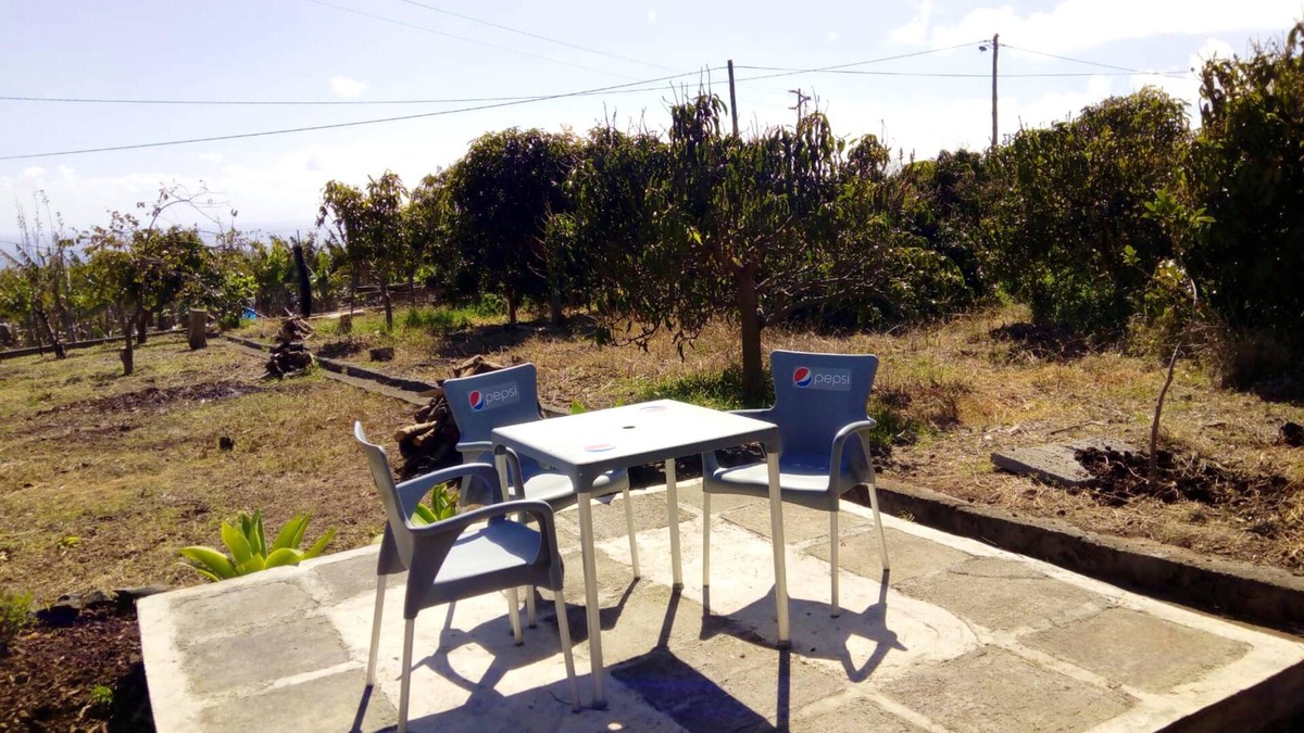 Arco da Calheta House | Homerez - Beautiful house 2 km away from the beach for 2 ppl. at Arco da Calheta
