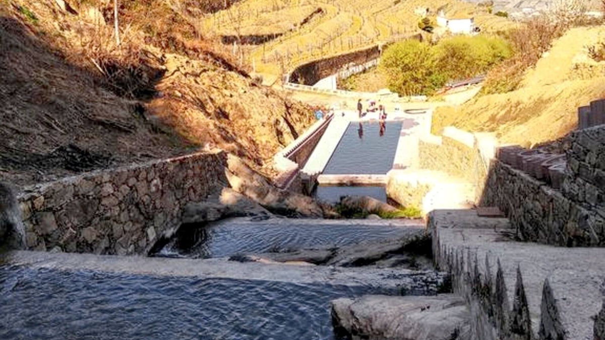 Lamego Villa | Homerez - Charming Villa with Pool in Lamego