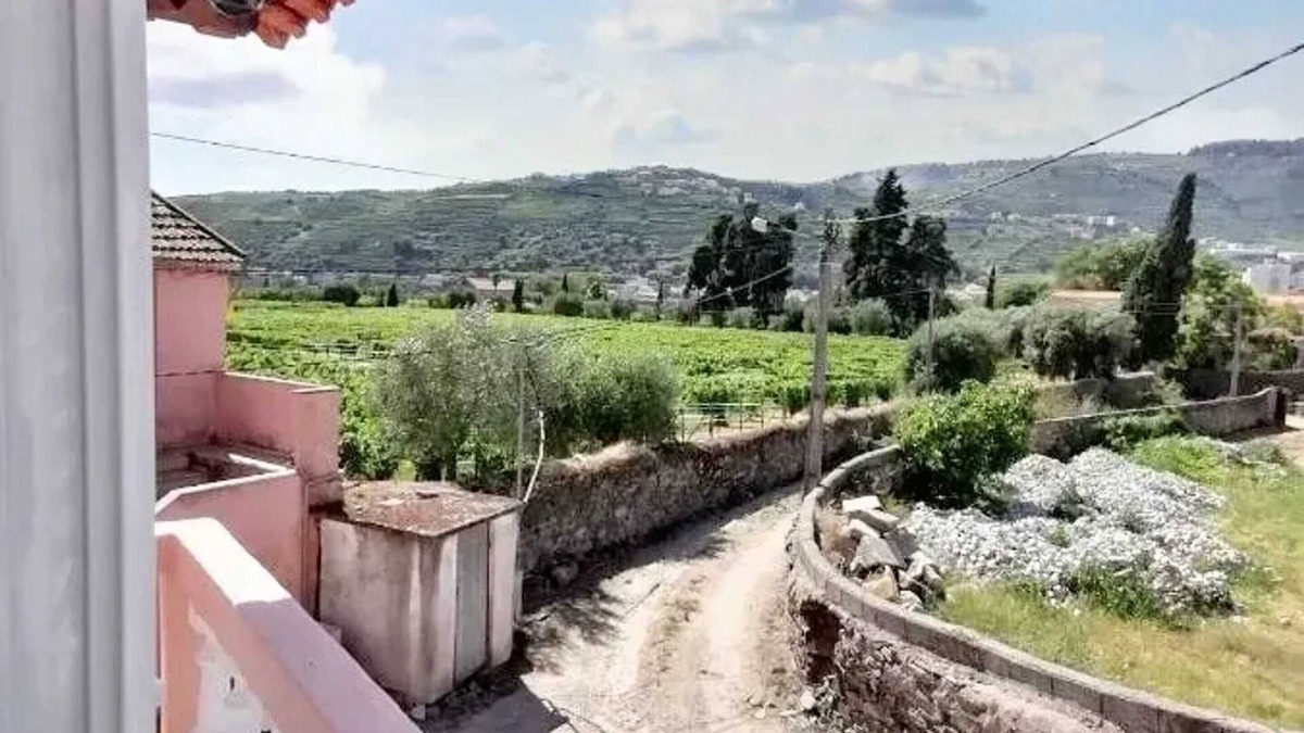 Lamego House | Homerez - Comfortable House in Lamego with Unfenced Garden