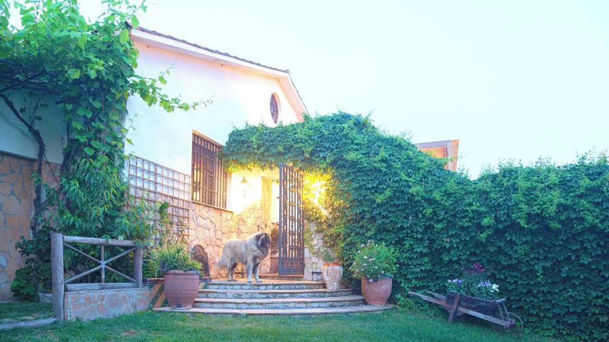 Vidreres Villa | Homerez - Luxurious Villa in Sils with Pool and Garden