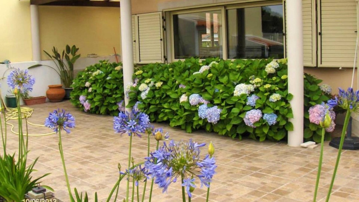 Bairro da Liberdade Apartment | Homerez - Spacious appartement for 7 ppl. at Grândola