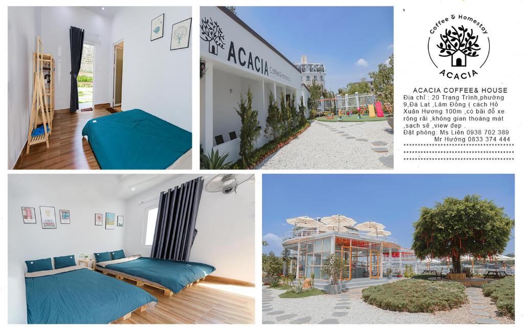 Da Lat Apartment | Homestay Acacia Đà Lạt
