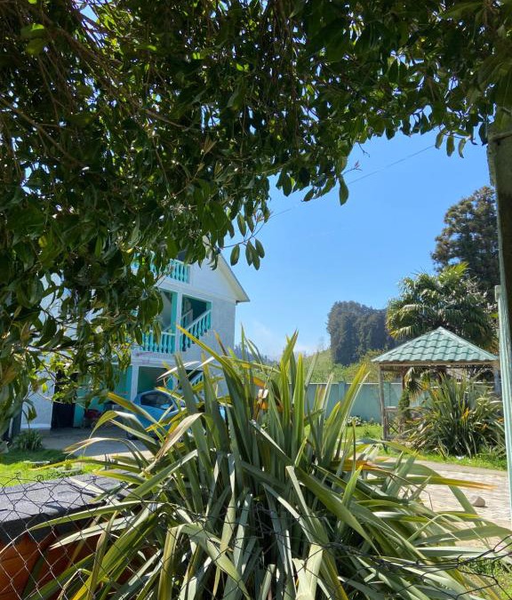 Chakvi Apartment | Homestay in Batumi Дом в Чакви