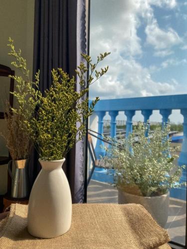 Ganh Dau Hotel | Homestay Sài Gòn