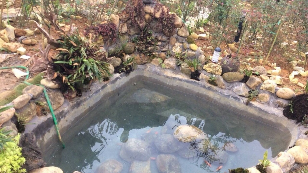 Lao Cai House | Homestay Vuon Hong Co