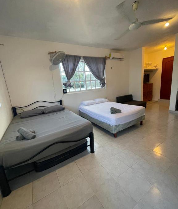 Colonia Centro Apartment | Homey studio in the CENTRO of town !